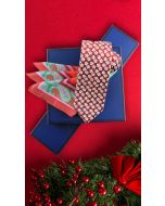 Kit pañuelos y corbatas Style